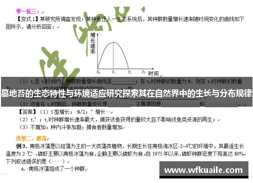 墓地苔的生态特性与环境适应研究探索其在自然界中的生长与分布规律